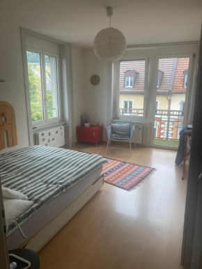 ZH flat 11